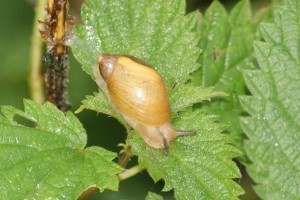 DSC02559