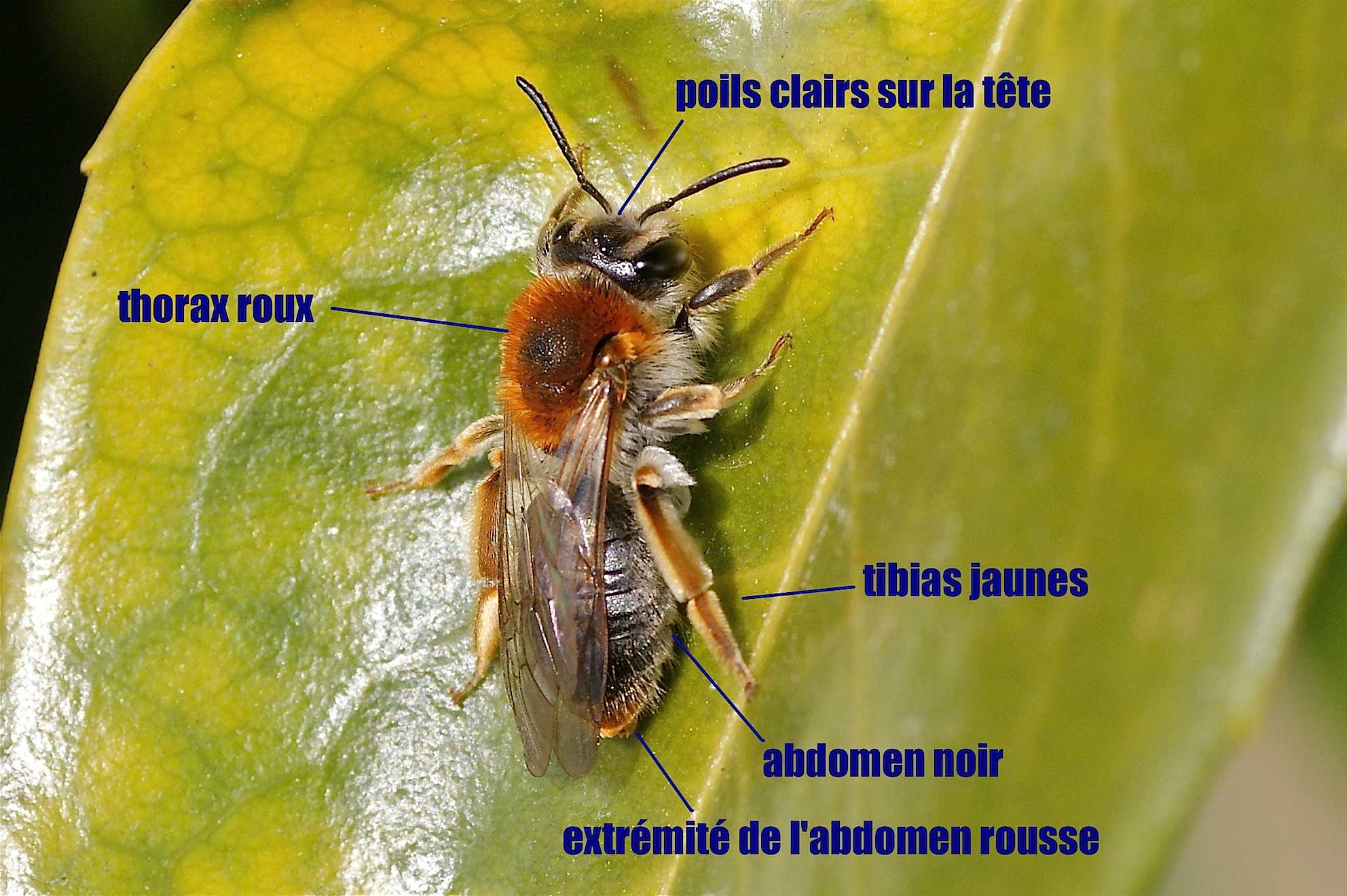 Rencontre gratuit