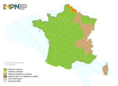 vespa_velutina_carte_nord_2016-09-27_inpn-e1474970214760-768x565